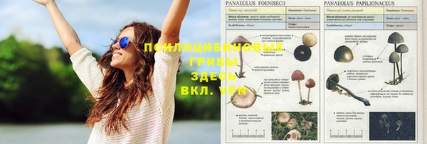 альфа пвп Алексеевка