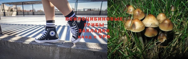 экстази Алексин
